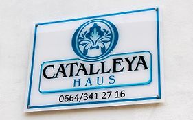 Catalleya Haus